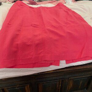 Ann Taylor Skirt, pink, size 18